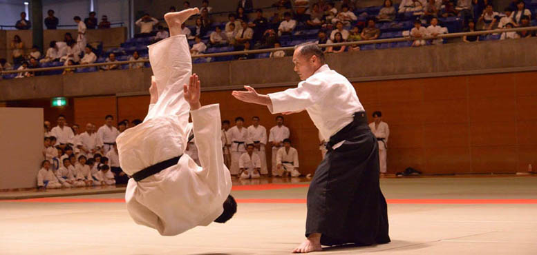<blockquote><h3></h3>Welcome to the Ryu World Aikido Federation website.</blockquote>
