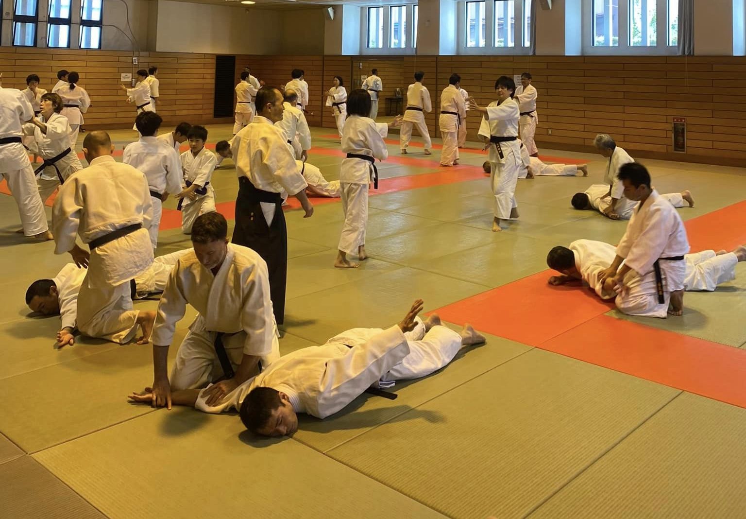 <blockquote><h3></h3>To provide an organised structure and global aikido network in support of member dojos.</blockquote>