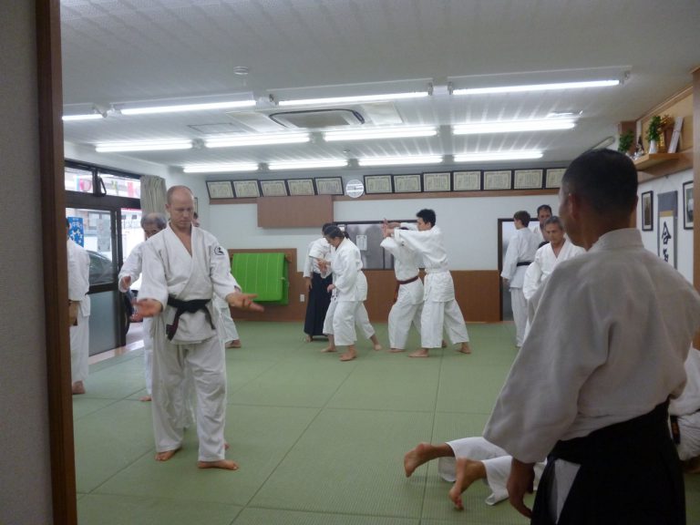 1st Annual RWAF Summer Gasshku Aikidoryu RWAF